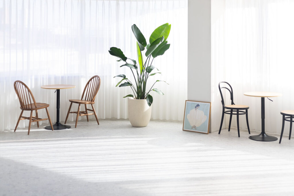 自然光が入る白基調の空間に、テーブルセット・観葉植物・アートが並ぶ写真